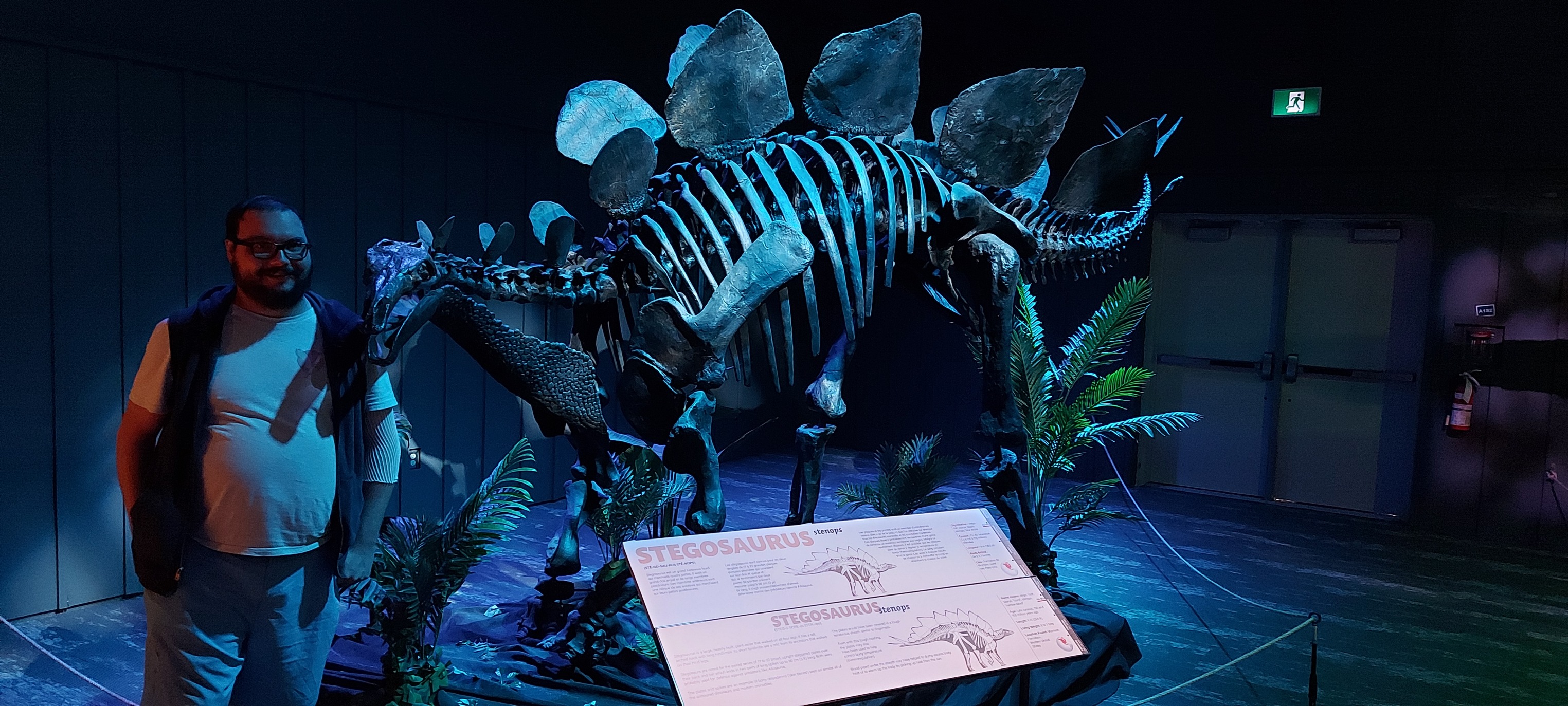 A man with a ball cap and bushy facial hair is standing next to a stegosaurus skeleton